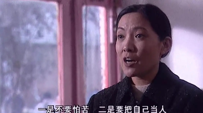 《一年又一年》21集全[百度/夸克网盘下载]国产剧[4k高清]