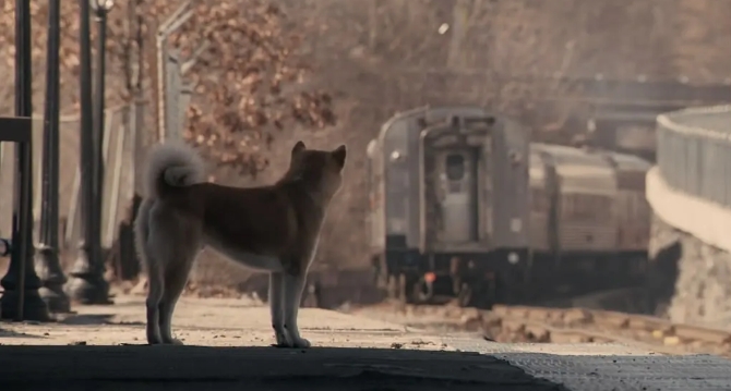 《忠犬八公的故事》[百度/夸克网盘下载]美国电影[4k高清/中文字幕]