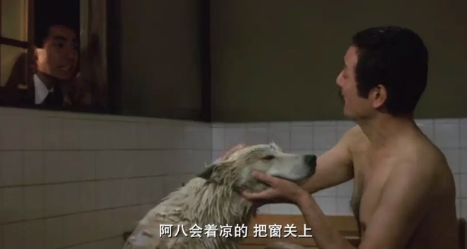 《忠犬八公物语》[百度/夸克网盘下载]日本电影[4k高清/中文字幕]