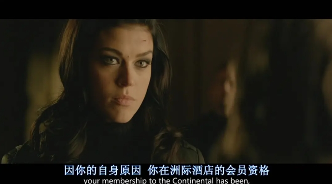 《疾速追杀》[网盘下载]美国电影[4k高清/1-4中英双语字幕]