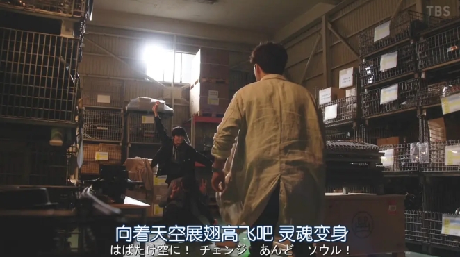 《机动搜查队404》[百度/夸克网盘下载]日剧[4k高清/中文字幕]