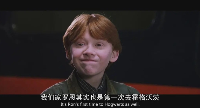 《哈利波特与魔法石》[网盘下载]美国电影[1080p超清/中英文双语字幕]