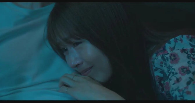 《再见的延续》[百度/夸克网盘下载]日剧[4k高清/中文字幕]