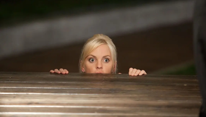 《床伴逐个数》[百度/夸克网盘下载]美国电影[4k高清/BT磁力链接]