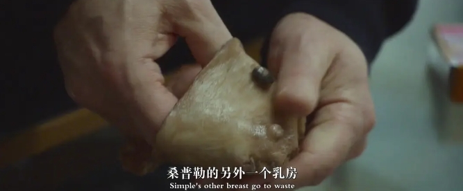 《此房是我造》[百度/夸克网盘下载]丹麦电影[1080p高清/BT磁力链接]