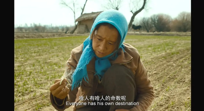 《隐入尘烟》[百度/夸克网盘下载]国产电影[4k高清]