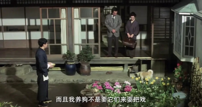 《忠犬八公物语》[百度/夸克网盘下载]日本电影[4k高清/中文字幕]