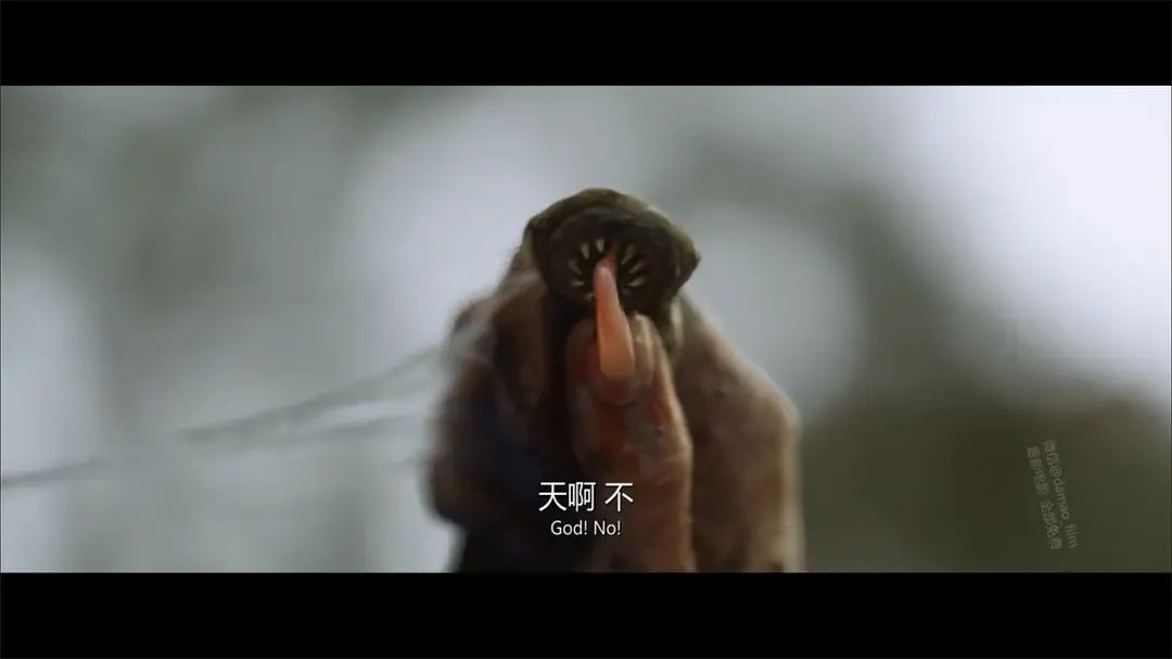 《爱与怪物》[百度/夸克网盘下载]美国电影[1080p高清/BT磁力链接]