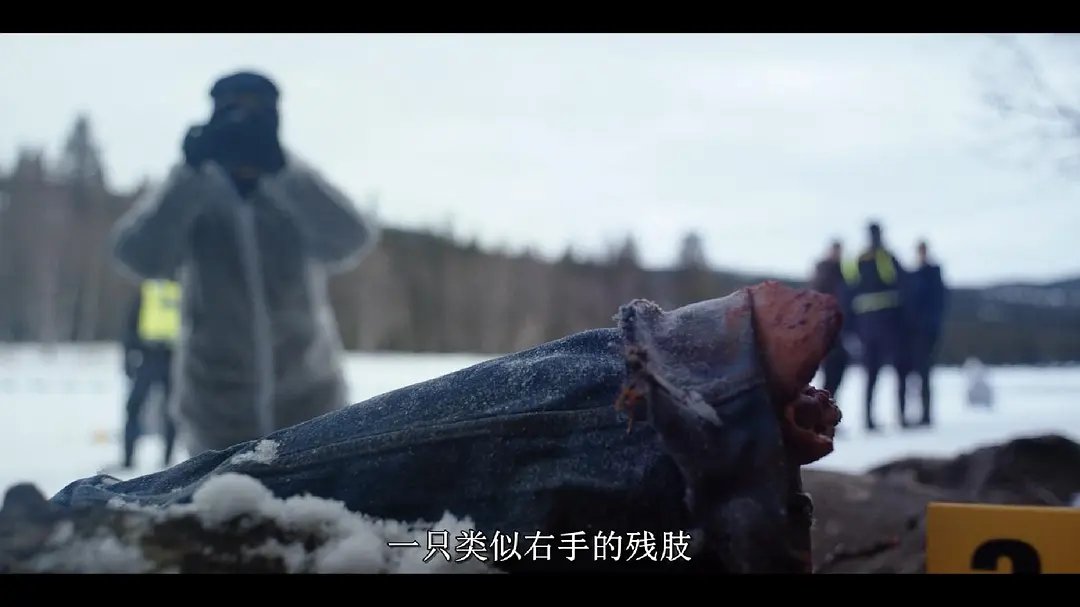 《奥勒谋杀案》[百度/夸克网盘下载]瑞典电视剧[1080p高清/BT磁力链接]