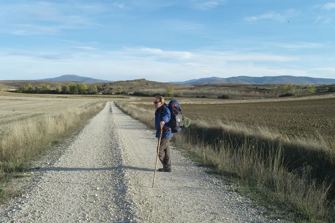 《朝圣之路》[百度/夸克网盘下载]美国电影 [1080p超清/在线观看]