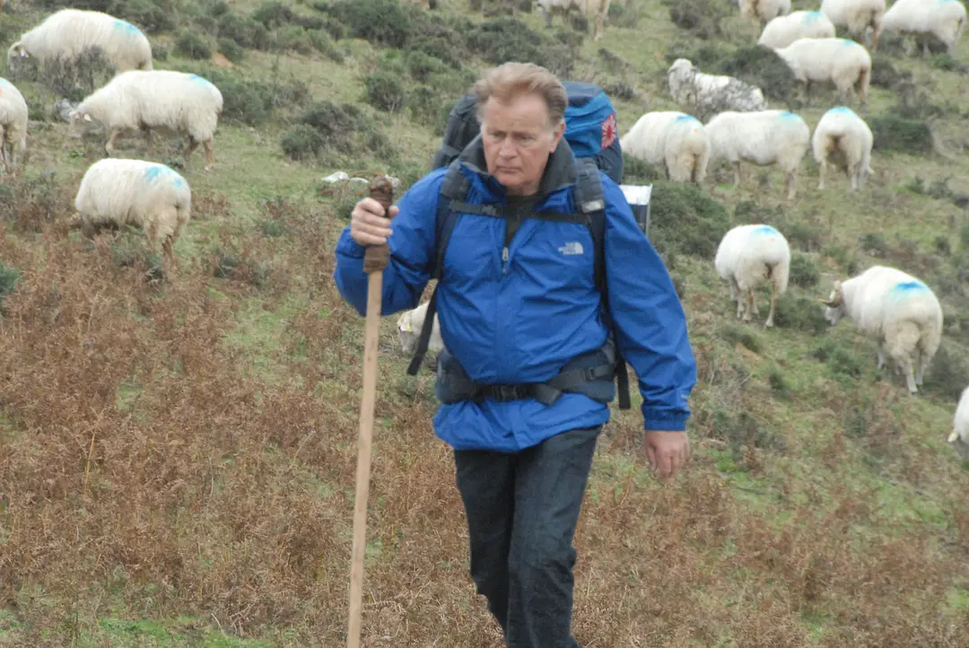 《朝圣之路》[百度/夸克网盘下载]美国电影 [1080p超清/在线观看]