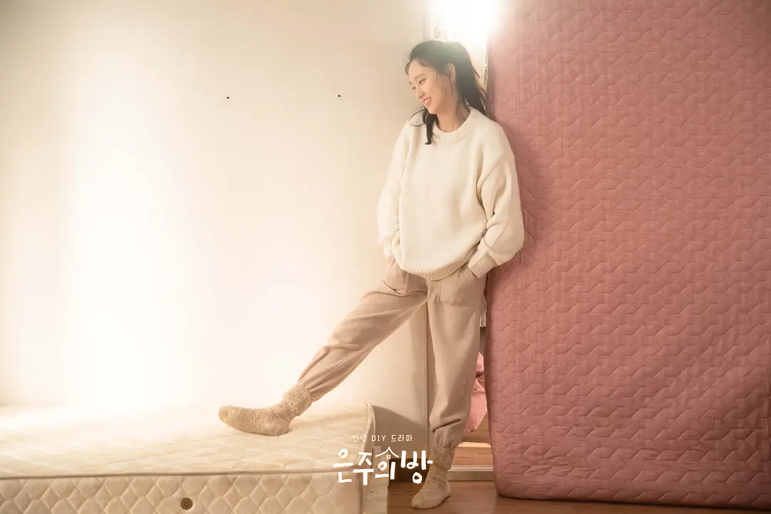 《恩珠的房间》[百度/夸克网盘下载]韩剧[1080p高清/BT磁力链接]