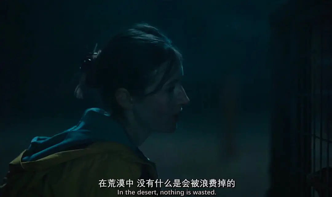 《荒漠恶种》[百度/夸克网盘下载]美国电影[1080p高清/BT磁力链接]