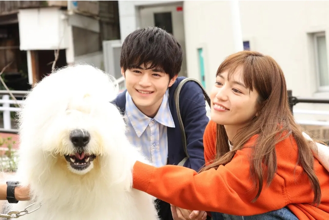 《静雪silent》[百度/夸克网盘下载]日剧[4K高清/在线观看]