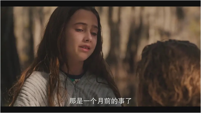 《凯多湖的消失》[百度/夸克网盘下载]美国电影[4K高清/中英文字幕]