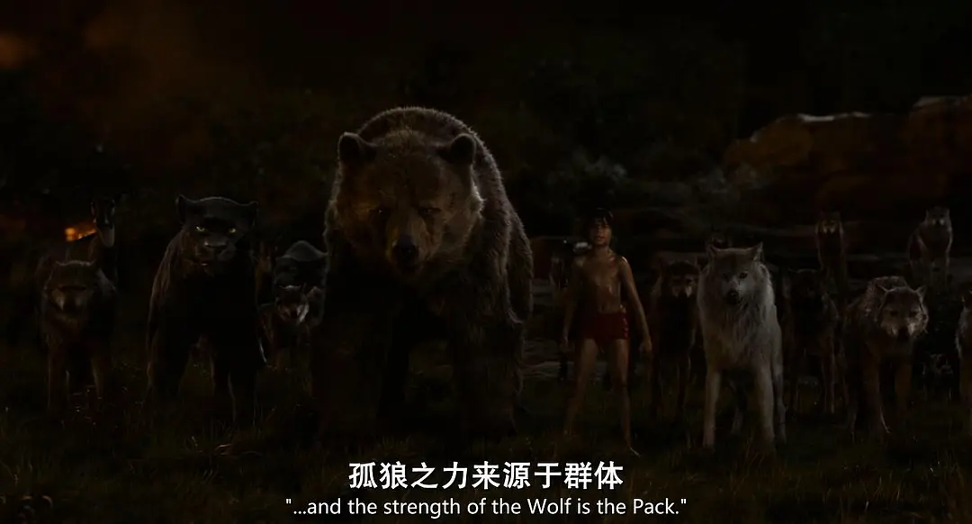 《奇幻森林》[百度/夸克网盘下载]英国电影[1080p高清/BT磁力链接]