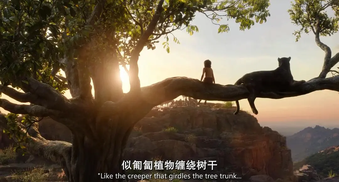 《奇幻森林》[百度/夸克网盘下载]英国电影[1080p高清/BT磁力链接]