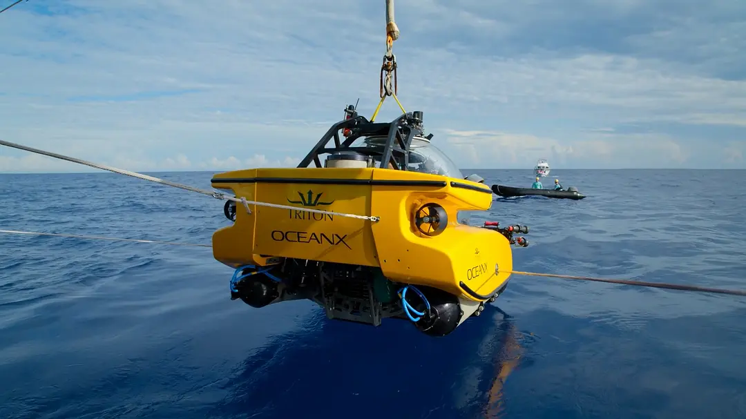 《带你探索地球》[百度/夸克网盘下载]美剧[1080p高清/BT磁力链接]