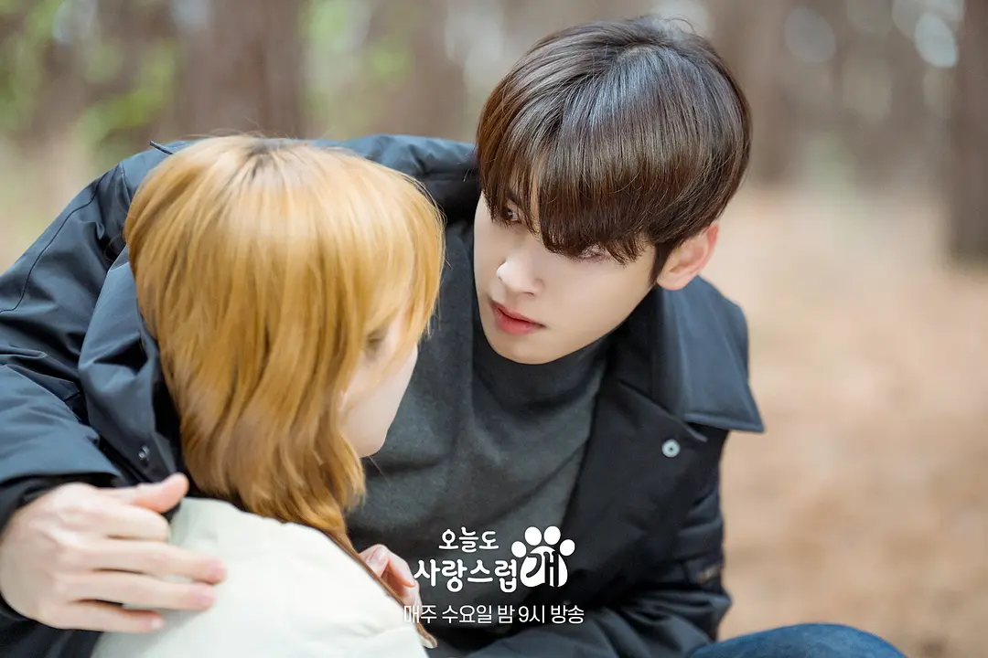 《今天也很可爱的狗》[百度/夸克网盘下载]韩剧[1080p高清/BT磁力链接]