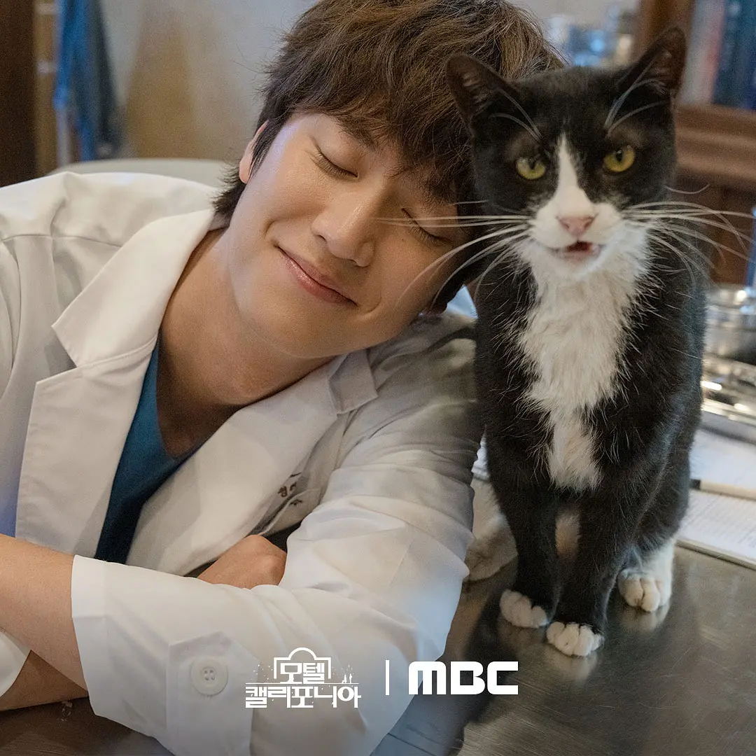 《加利福尼亚旅馆》[百度/夸克网盘下载]韩剧[1080p高清/BT磁力链接]