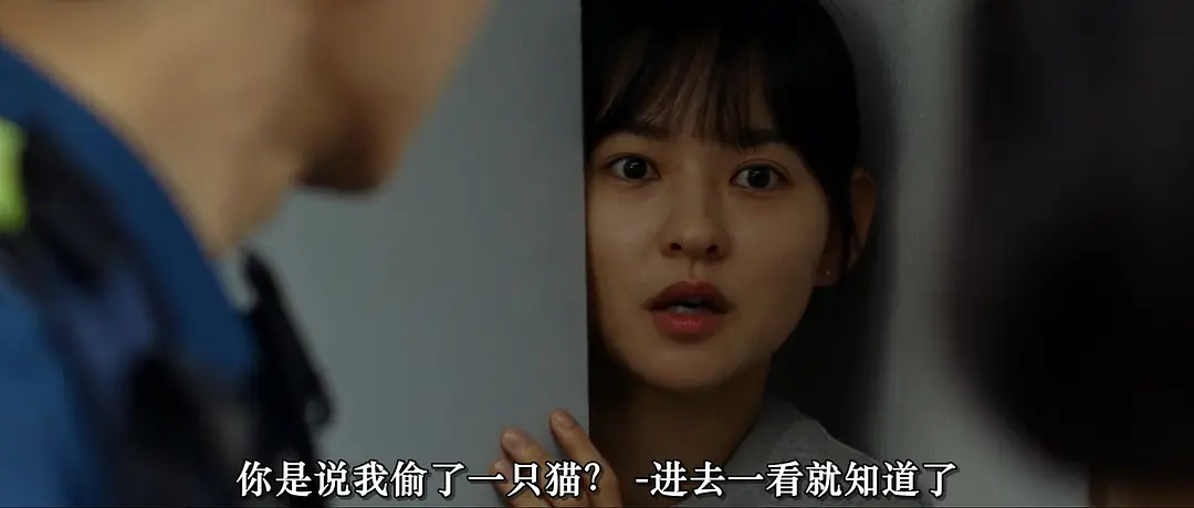 《亲切的警察》[百度/夸克网盘下载]韩国电影[1080p高清/BT磁力链接]