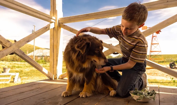 《少年斯派维的奇异旅行》[百度/夸克网盘下载]法国电影[1080p高清/BT磁力链接]