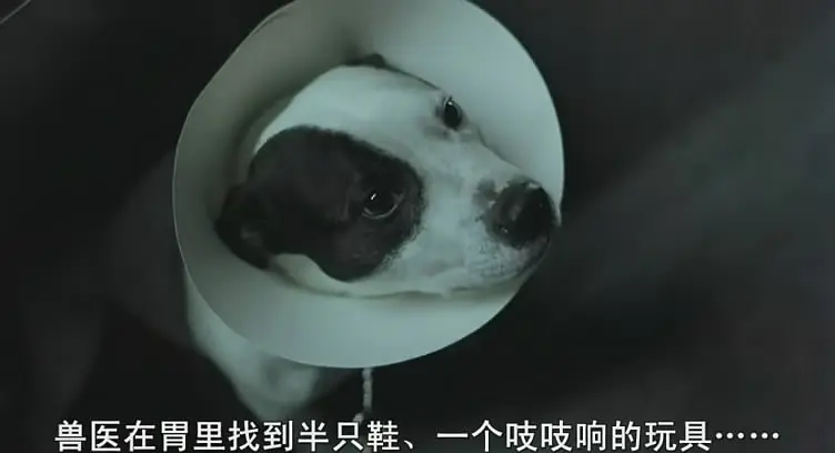 《偷拐抢骗》[百度/夸克网盘下载]英国电影[1080p高清/BT磁力链接]