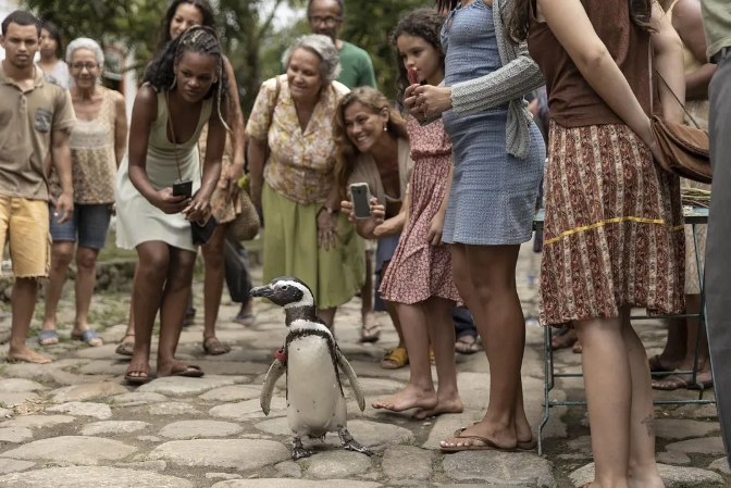 《我的企鹅朋友》[百度/夸克网盘下载]巴西电影[4K超清/在线观看]