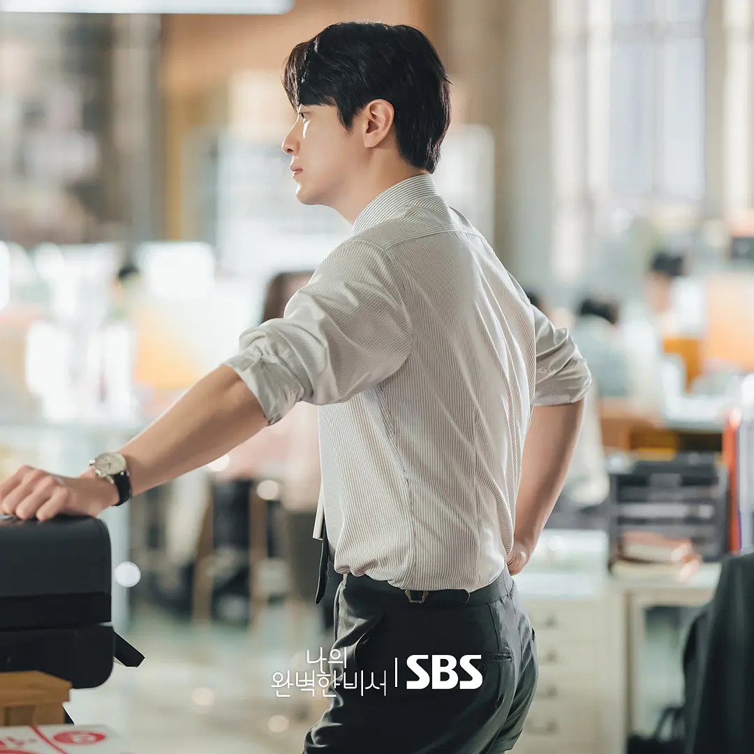 《我的完美秘书》[百度/夸克网盘下载]韩剧[1080p高清/在线观看]