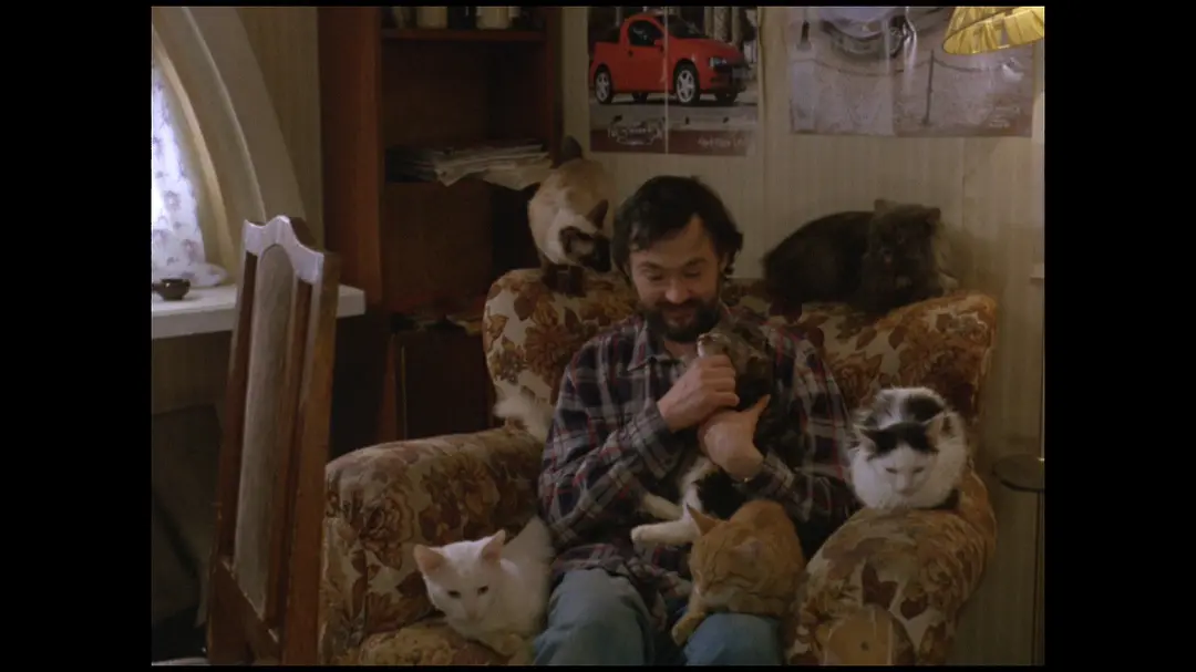 《小猫虎子》[百度/夸克网盘下载]俄罗斯电影[1080p高清/BT磁力链接]