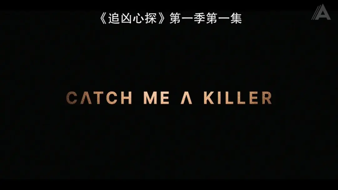 《追凶心探》[百度/夸克网盘下载]南非电视剧[4K超清/BT磁力链接]