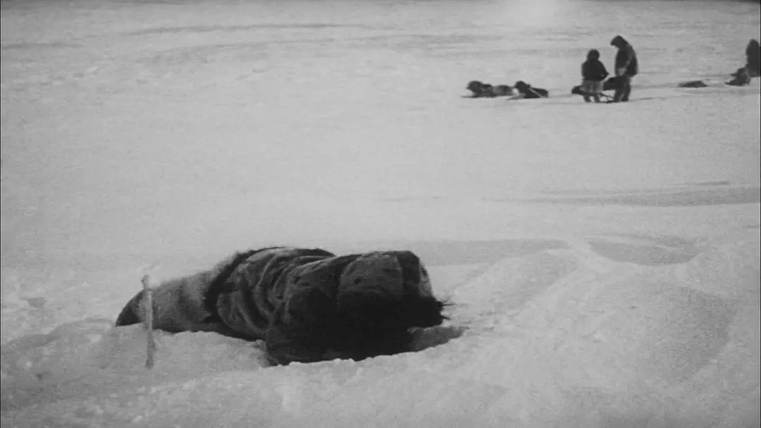 《北方的纳努克》[百度/夸克网盘下载]法国电影[1080p高清/BT磁力链接]