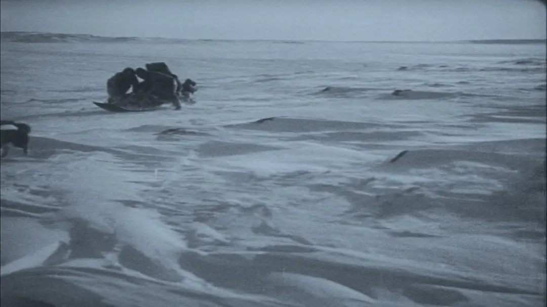 《北方的纳努克》[百度/夸克网盘下载]法国电影[1080p高清/BT磁力链接]