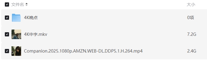 《完美伴侣/Companion》[网盘下载]美国电影[1080p超清/BD中英双语字幕]