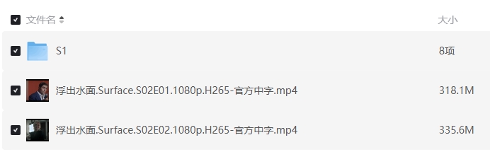 《浮出水面第一季》[百度/夸克网盘下载]美剧[1080p高清/在线观看]
