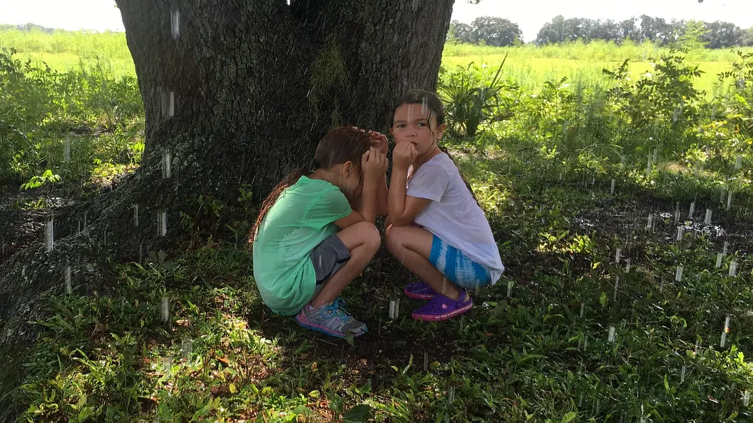 《佛罗里达乐园》[百度/夸克网盘下载]美国电影[1080p高清/BT磁力链接]