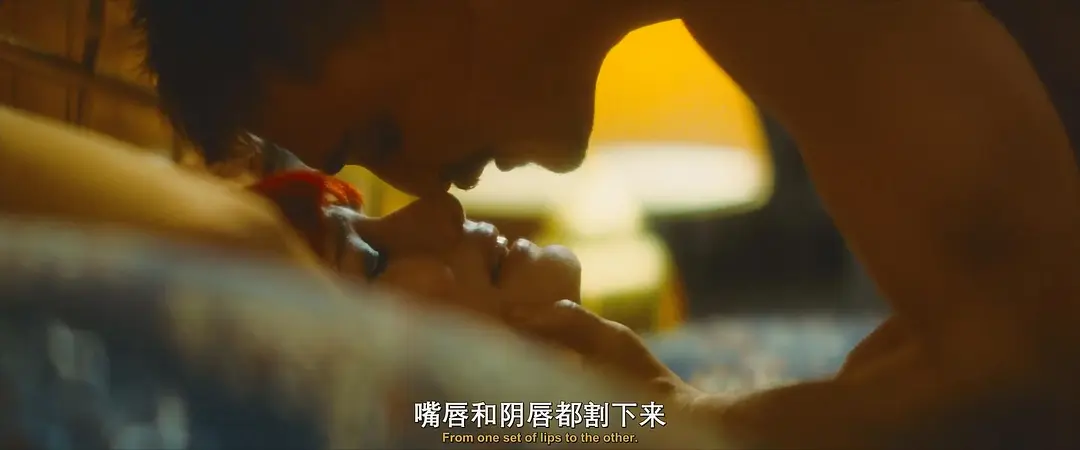 《怪栗情人》[百度/夸克网盘下载]美国电影[4K超清/BT磁力链接]