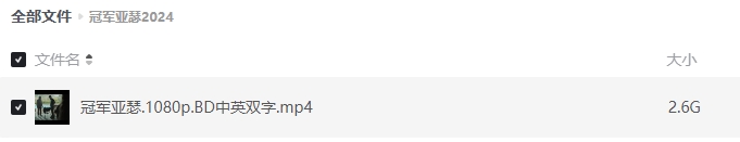 《冠军亚瑟》[百度/夸克网盘下载]美国电影[1080p高清/BT磁力链接]