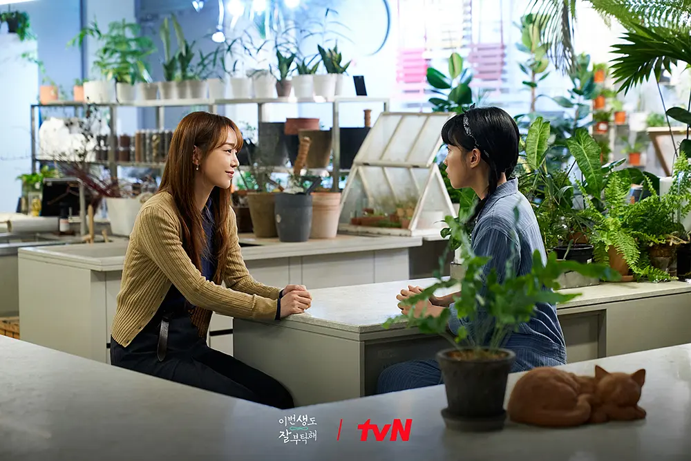 《今生也请多指教》[百度/夸克网盘下载]韩剧[1080p高清/BT磁力链接]