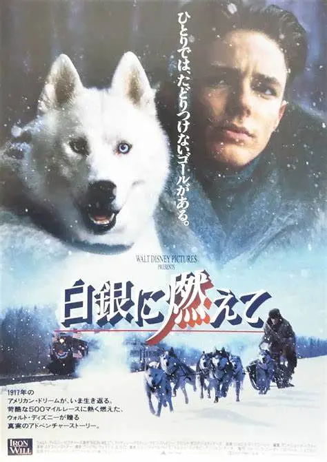 《决战冰河》[百度/夸克网盘下载]美国电影[1080p高清/BT磁力链接]