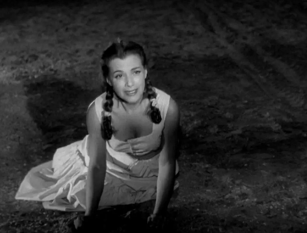 《恐惧的代价》[百度/夸克网盘下载]法国电影[1080p高清/中英文字幕]