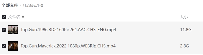 《壮志凌云2：独行侠》[网盘下载][4k高清/磁力下载链接]