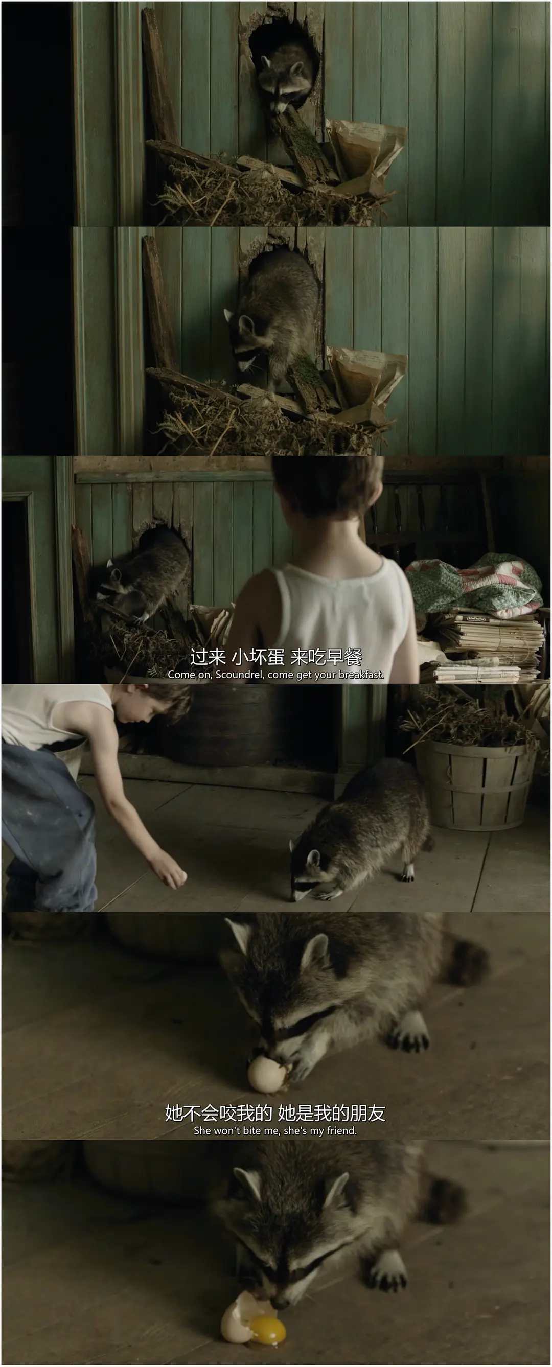 《马柔本宅秘事》[百度/夸克网盘下载]西班牙电影[1080p高清/在线观看]