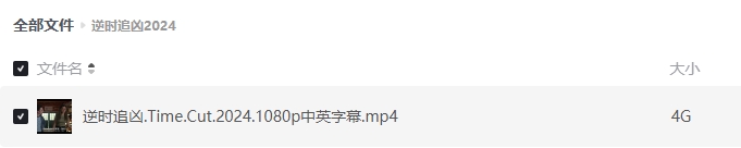《逆时追凶》[百度/夸克网盘下载]美国电影[1080p高清/在线观看]