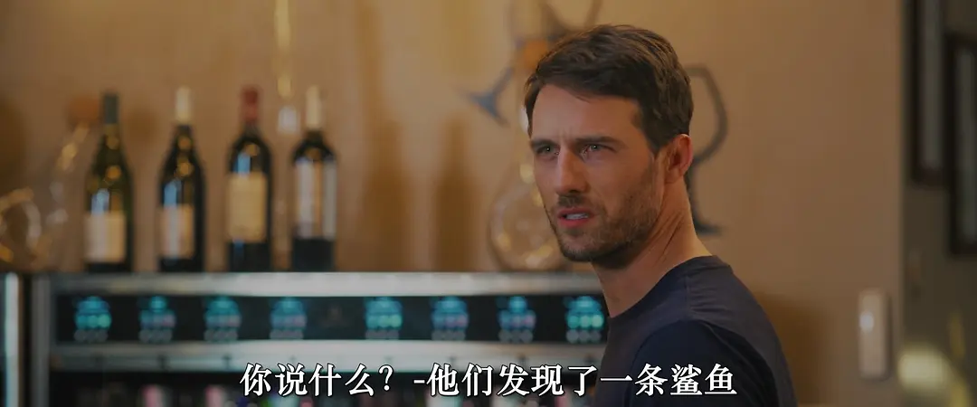 《鲨人警儿》[百度/夸克网盘下载]美国电影[4K超清/BT磁力链接]