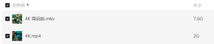 《天虎突击队》[网盘下载]国产电影[4k高清资源]