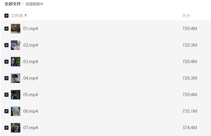 《相遇骤雨中》[百度/夸克网盘下载]日剧[1080p高清/中英文字幕]
