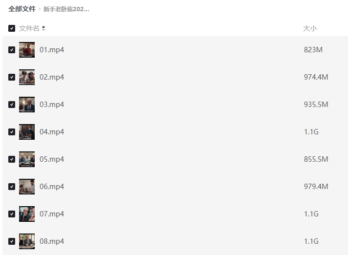 《新手老卧底》[百度/夸克网盘下载]美剧[1080p高清/BT磁力链接]