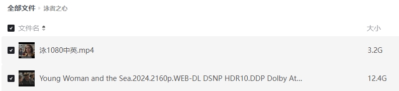 《泳者之心》[百度/夸克网盘下载]美国电影[1080p高清/BT磁力链接]