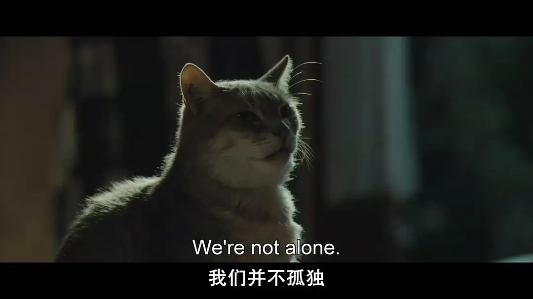 《与玛格丽特的午后》[百度/夸克网盘下载]法国电影[1080p高清/BT磁力链接]